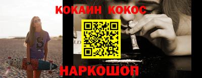 стаф Гатчина