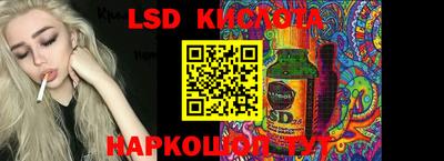стаф Гатчина