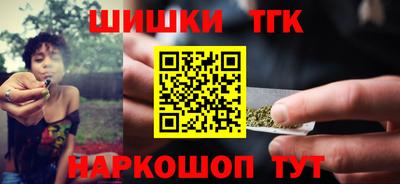 стаф Гатчина