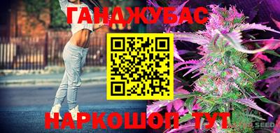 PSILOCYBIN Гагарин