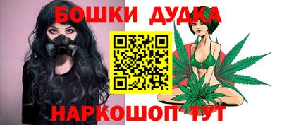 стаф Гатчина