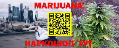 PSILOCYBIN Гагарин