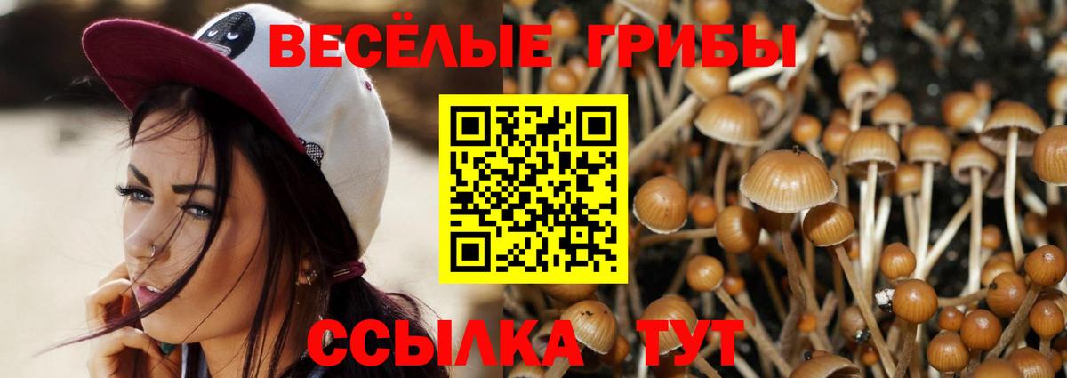 Галлюциногенные грибы прущие грибы  Галлюциногенные грибы GOLDEN TEACHER  Мценск  Вход с VPN 