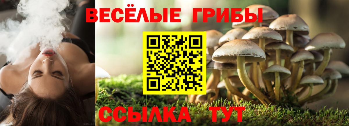 Галлюциногенные грибы мухоморы Мценск
